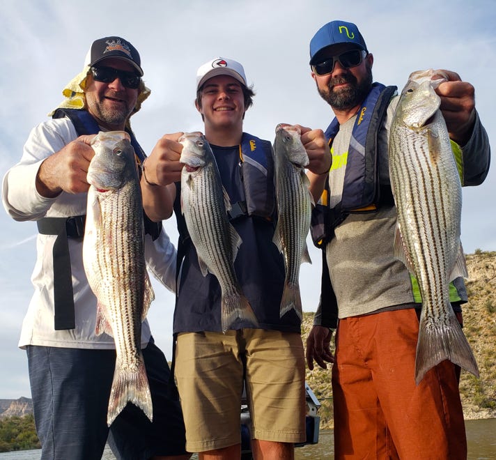 Pictures Of Big Stripers Caught On Lake Pleasant By The Barton Boys